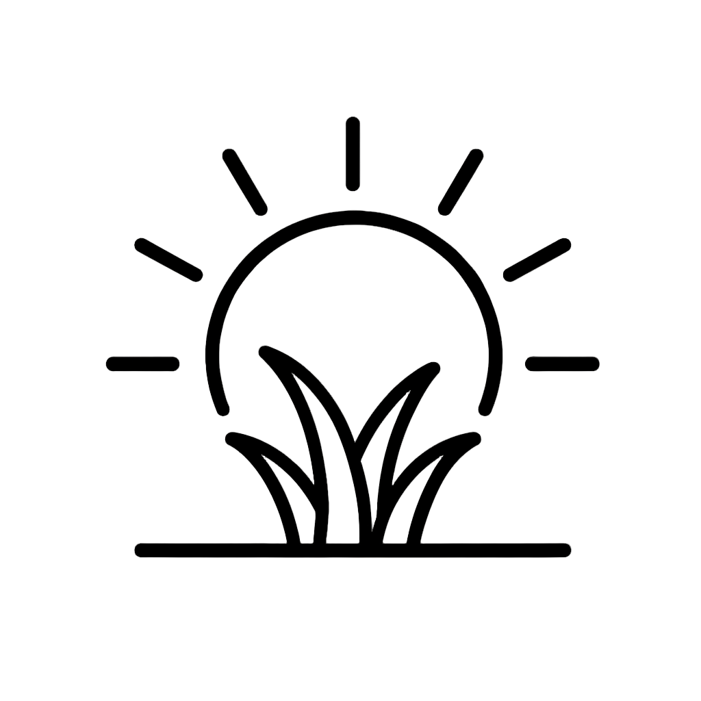 Sunlit pasture inspiring Grassfed Tallow Co.’s ancestral skincare approach